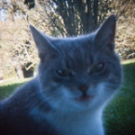 DSC02053 DSC02053 • <a style="font-size:0.8em;" href="http://www.flickr.com/photos/46409909@N02/10781828214/" target="_blank">View on Flickr</a>