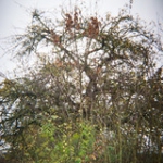 DSC02064 DSC02064 • <a style="font-size:0.8em;" href="http://www.flickr.com/photos/46409909@N02/10781975043/" target="_blank">View on Flickr</a>