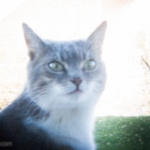 DSC02048 DSC02048 • <a style="font-size:0.8em;" href="http://www.flickr.com/photos/46409909@N02/10781711325/" target="_blank">View on Flickr</a>