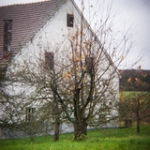 DSC02063 DSC02063 • <a style="font-size:0.8em;" href="http://www.flickr.com/photos/46409909@N02/10781971883/" target="_blank">View on Flickr</a>